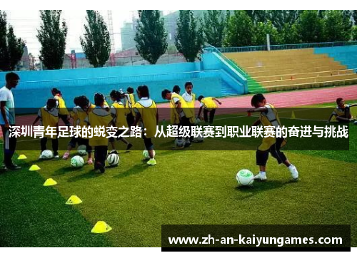 深圳青年足球的蜕变之路：从超级联赛到职业联赛的奋进与挑战