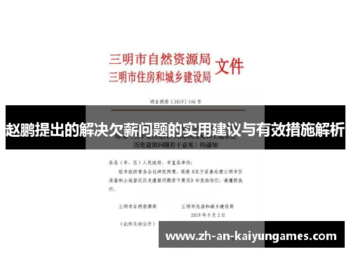 赵鹏提出的解决欠薪问题的实用建议与有效措施解析